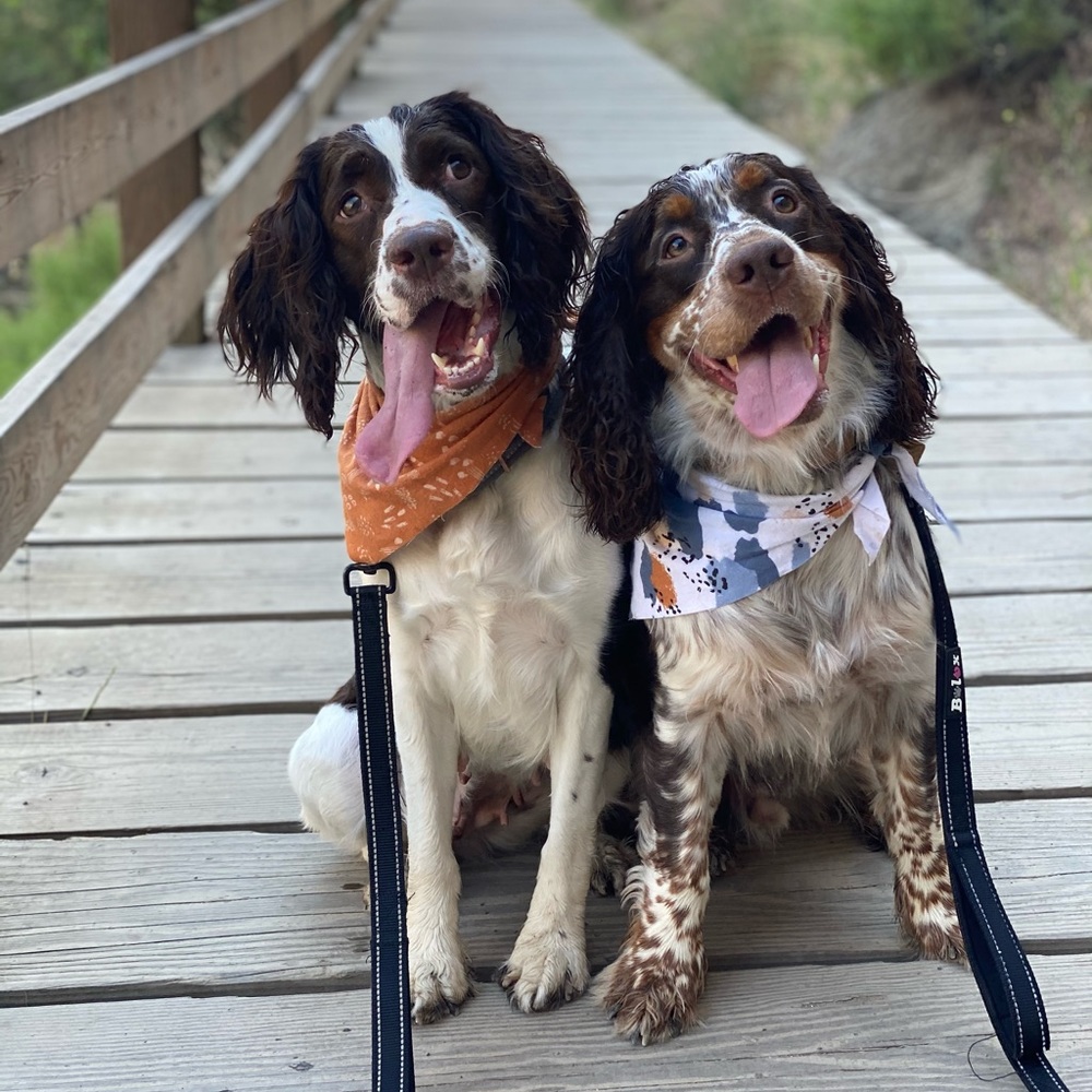 Meet your Posher, Jaycee